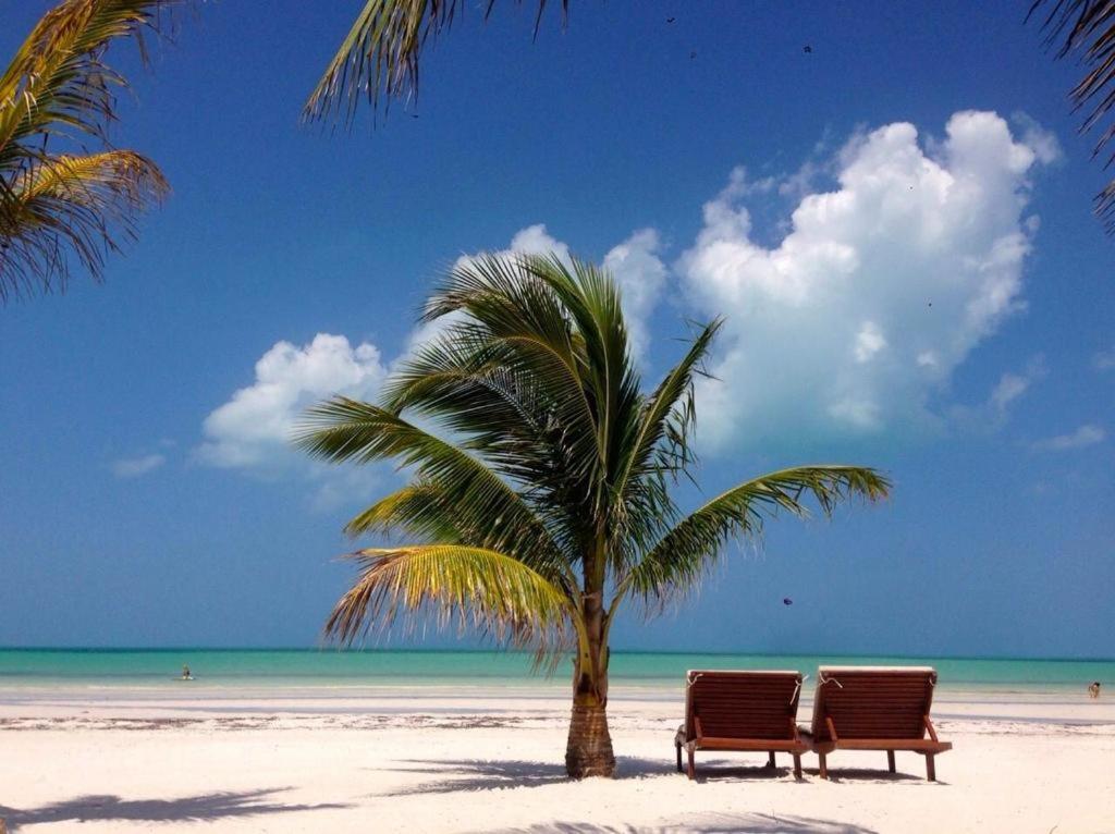 El Corazon Boutique Hotel - Adults Only With Beach Club Pass Included Isla Holbox Εξωτερικό φωτογραφία