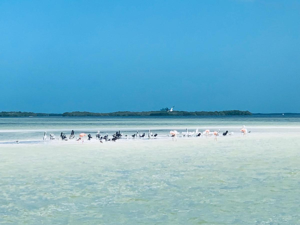 El Corazon Boutique Hotel - Adults Only With Beach Club Pass Included Isla Holbox Εξωτερικό φωτογραφία
